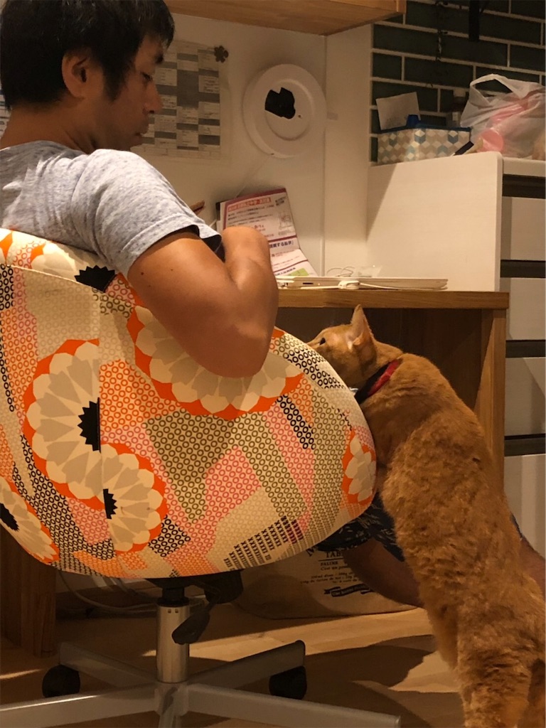 f:id:vcken:20190901162337j:image f:id:vcken:20190901162337j:image