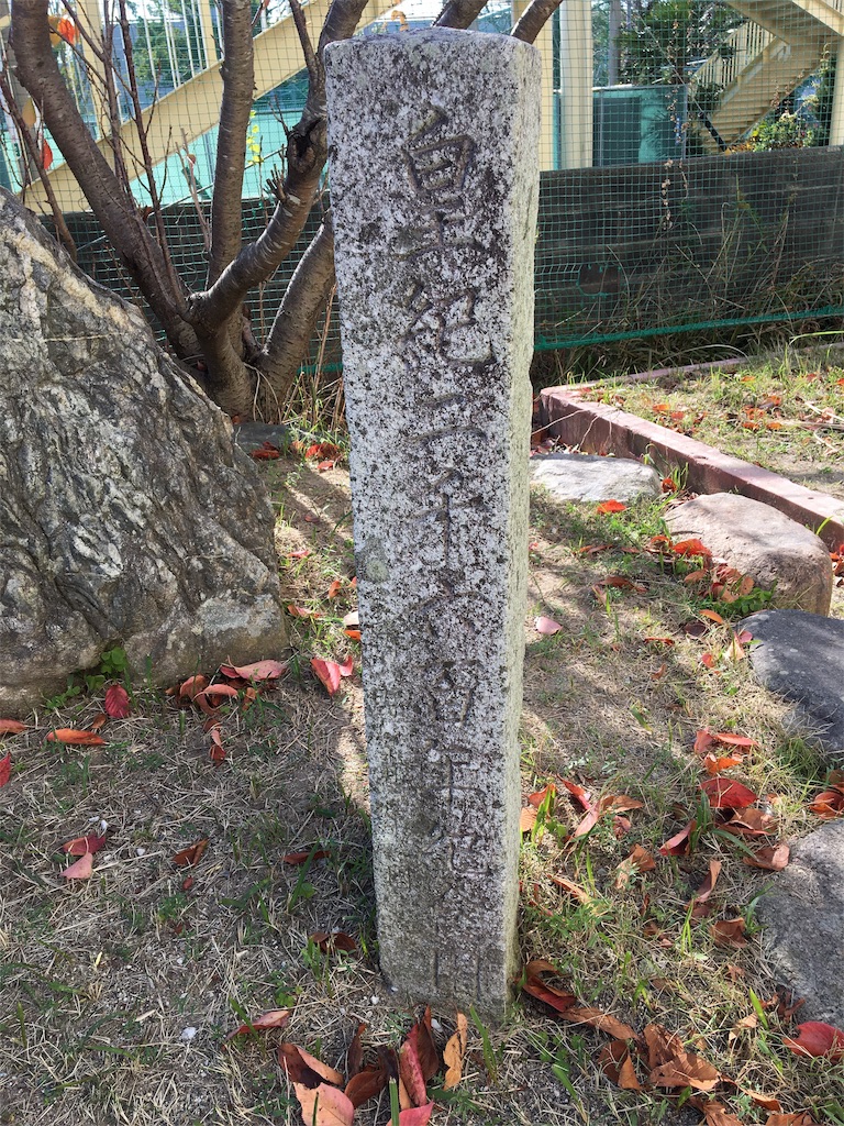 f:id:vcken:20191116210555j:image