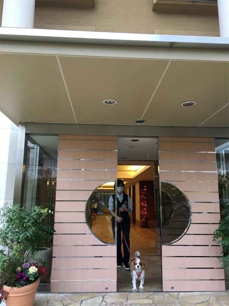 f:id:vcken:20191226214501j:image