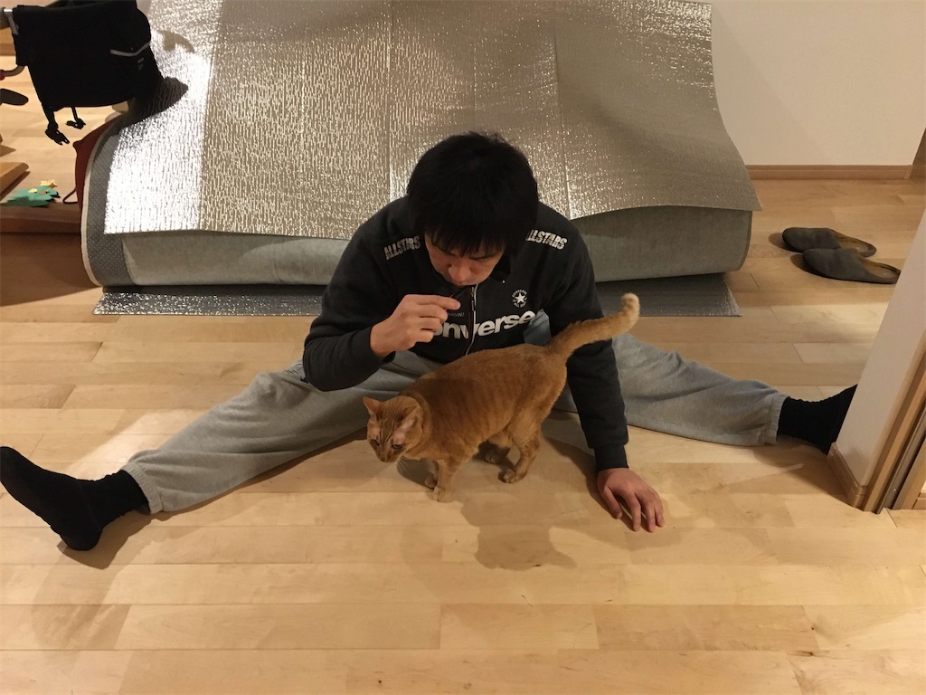 f:id:vcken:20200209011144j:image f:id:vcken:20200209011144j:image