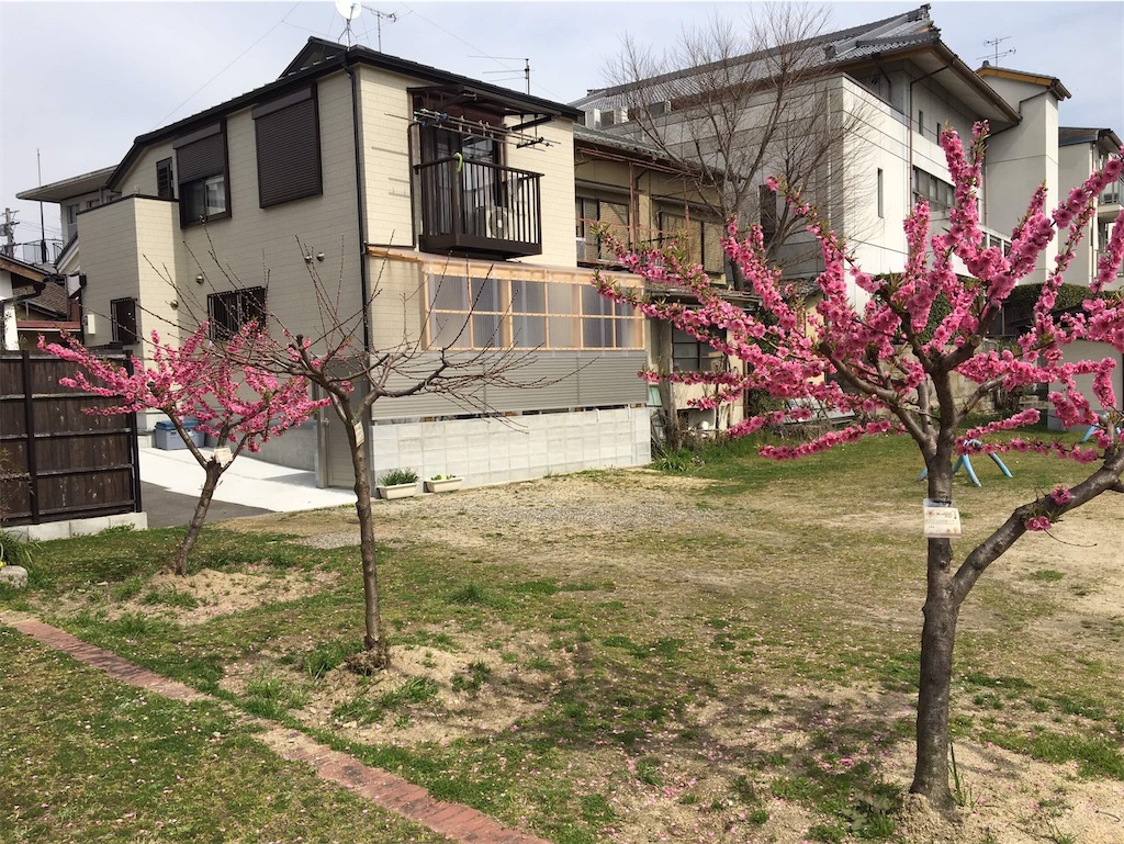 f:id:vcken:20200313192736j:image