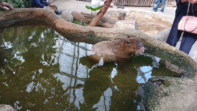 f:id:vcloud:20190224234441j:image f:id:vcloud:20190224234441j:image