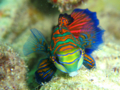 20100226105224
