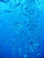 20100327090335