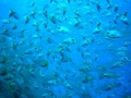 20100327090336