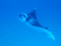 20100327090338