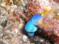 20100327090341