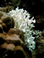 20100814065625