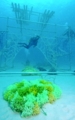 20100824083913