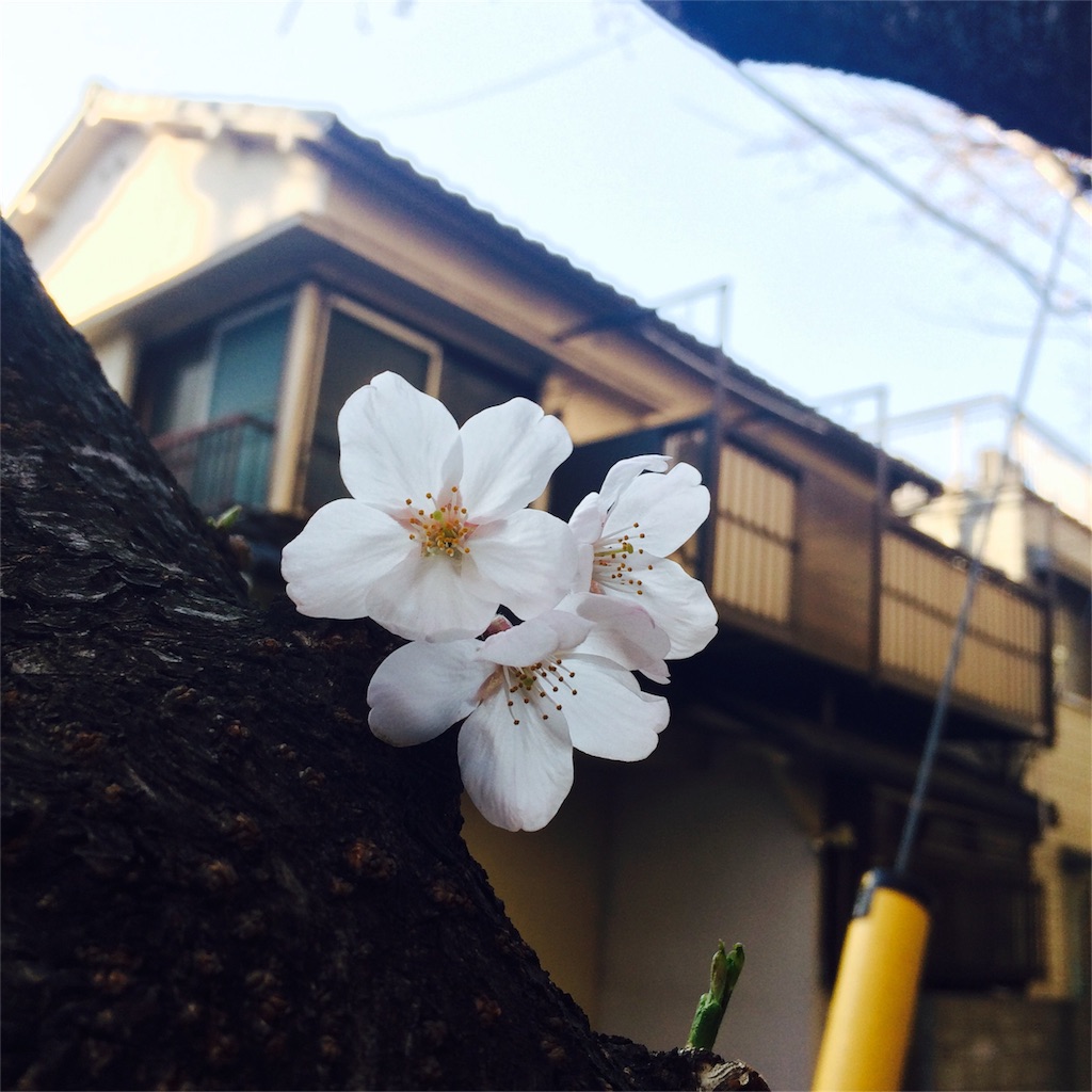 f:id:vcshiori:20160329014255j:image f:id:vcshiori:20160329014255j:image