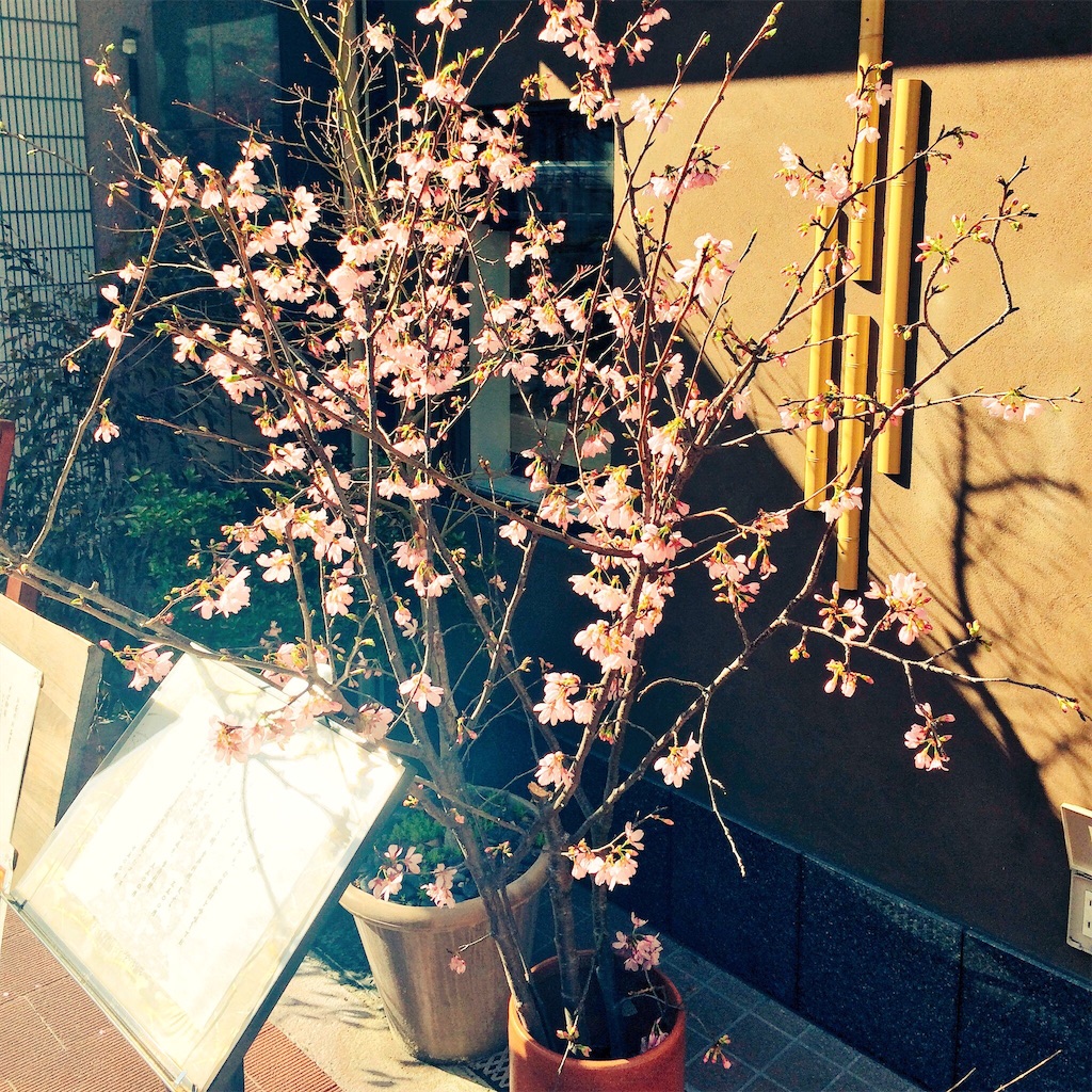 f:id:vcshiori:20160329014420j:image f:id:vcshiori:20160329014420j:image