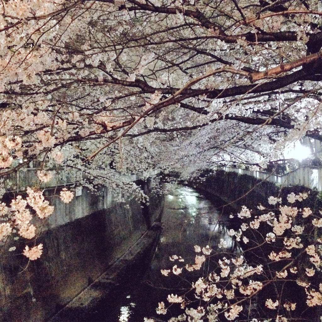 f:id:vcshiori:20160411212406j:image f:id:vcshiori:20160411212406j:image