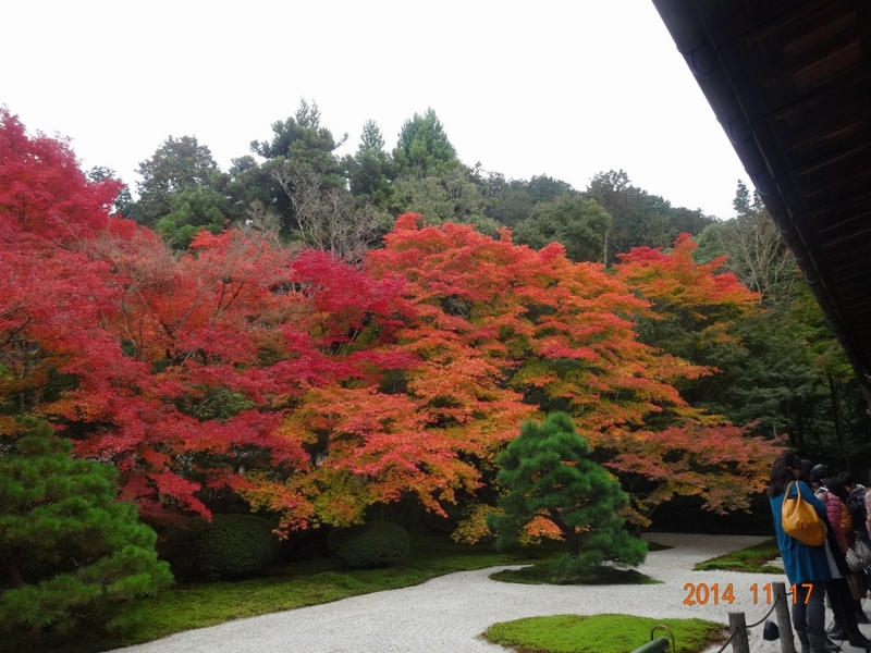 f:id:vcyamanaka:20141231114550j:image:w360 f:id:vcyamanaka:20141231114550j:image:w360
