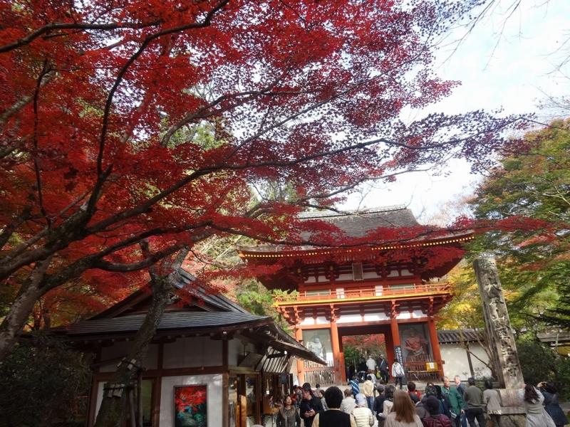 f:id:vcyamanaka:20141231114554j:image:w360 f:id:vcyamanaka:20141231114554j:image:w360
