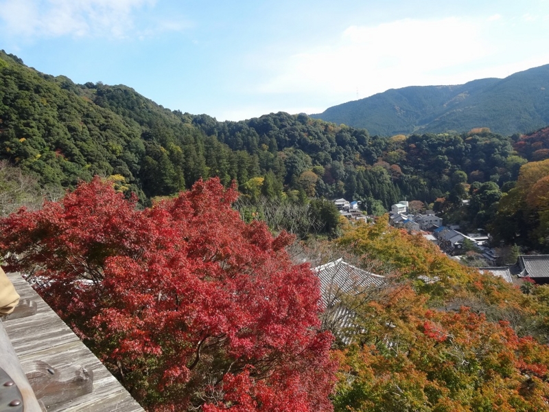 f:id:vcyamanaka:20141231114556j:image:w360 f:id:vcyamanaka:20141231114556j:image:w360