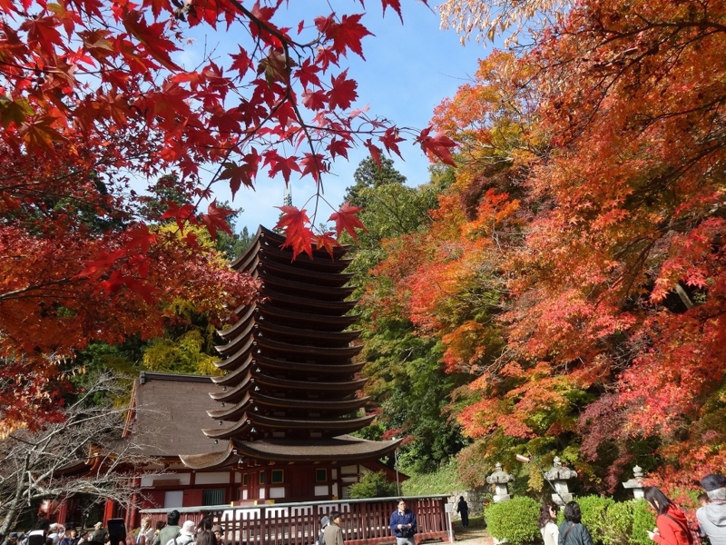 f:id:vcyamanaka:20141231114558j:image:w360 f:id:vcyamanaka:20141231114558j:image:w360