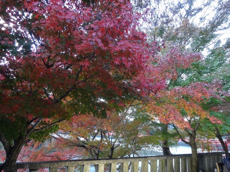 f:id:vcyamanaka:20141231114600j:image:w360 f:id:vcyamanaka:20141231114600j:image:w360