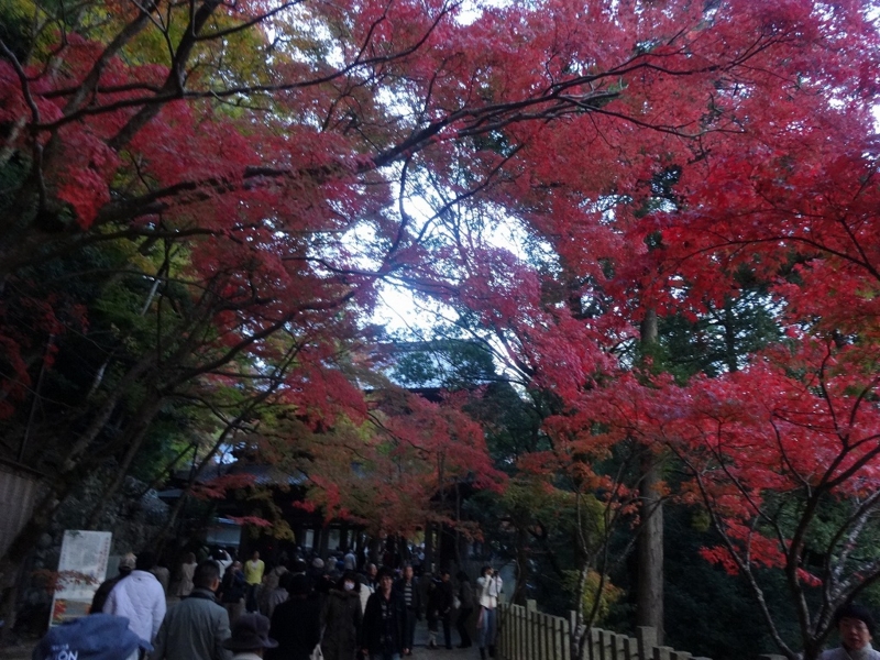 f:id:vcyamanaka:20141231114602j:image:w360 f:id:vcyamanaka:20141231114602j:image:w360