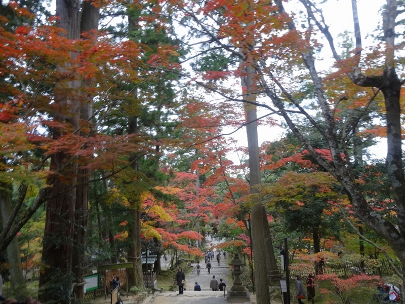 f:id:vcyamanaka:20141231114606j:image:w360 f:id:vcyamanaka:20141231114606j:image:w360
