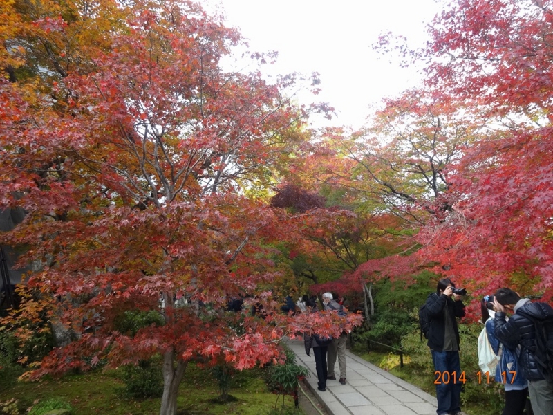 f:id:vcyamanaka:20141231114819j:image:w360 f:id:vcyamanaka:20141231114819j:image:w360