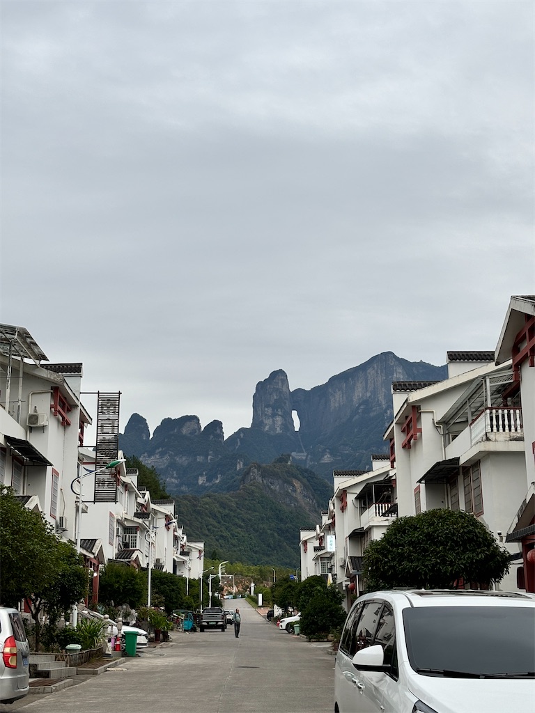 f:id:veaqjq:20250116144132j:image
