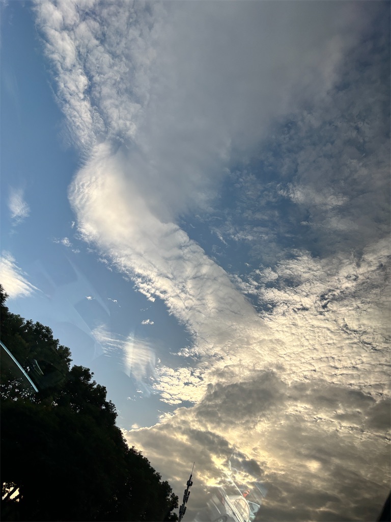 f:id:veaqjq:20250116171009j:image