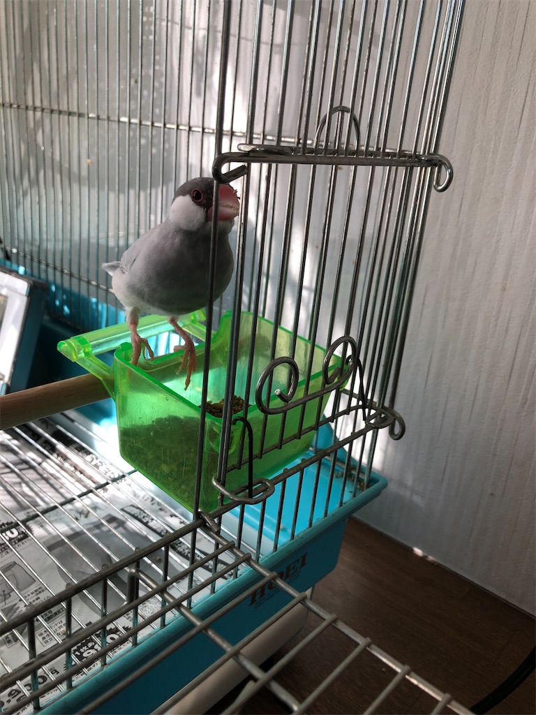 f:id:vega0125:20211013113153j:image f:id:vega0125:20211013113153j:image