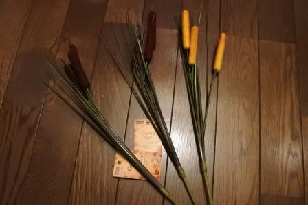 f:id:vegan24:20171108162706j:plain