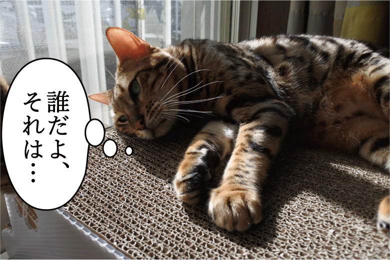 f:id:vegan24:20171212210600p:plain f:id:vegan24:20171212210600p:plain