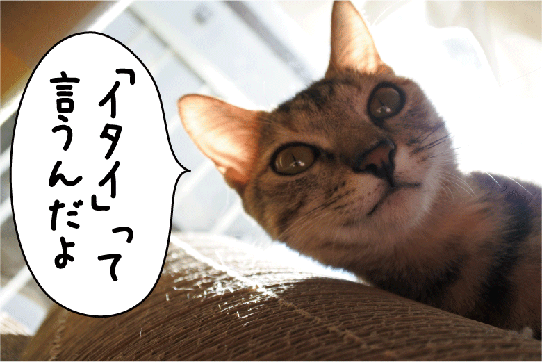 f:id:vegan24:20171212210619p:plain f:id:vegan24:20171212210619p:plain