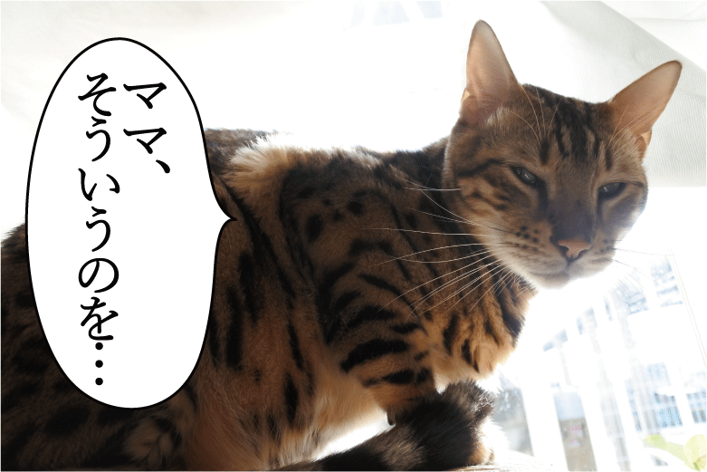 f:id:vegan24:20171212210638p:plain f:id:vegan24:20171212210638p:plain