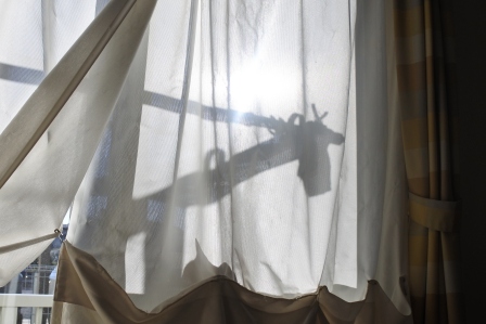 f:id:vegan24:20180110204023j:plain