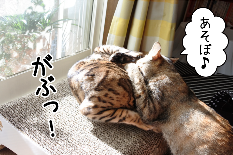 f:id:vegan24:20180219165758p:plain