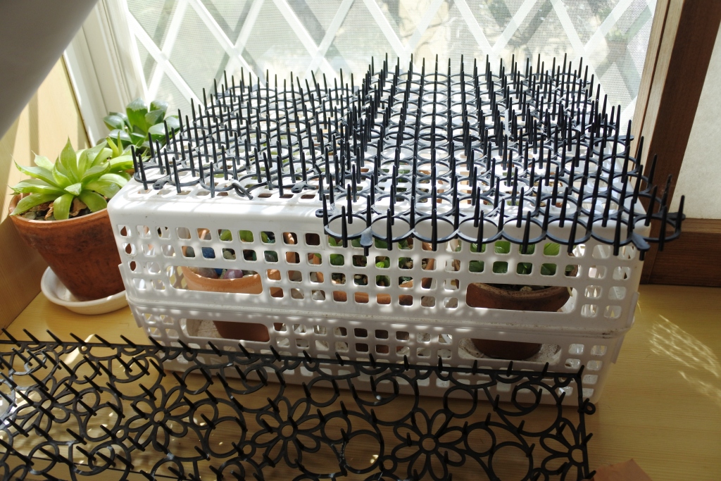 f:id:vegan24:20180331131926j:plain f:id:vegan24:20180331131926j:plain