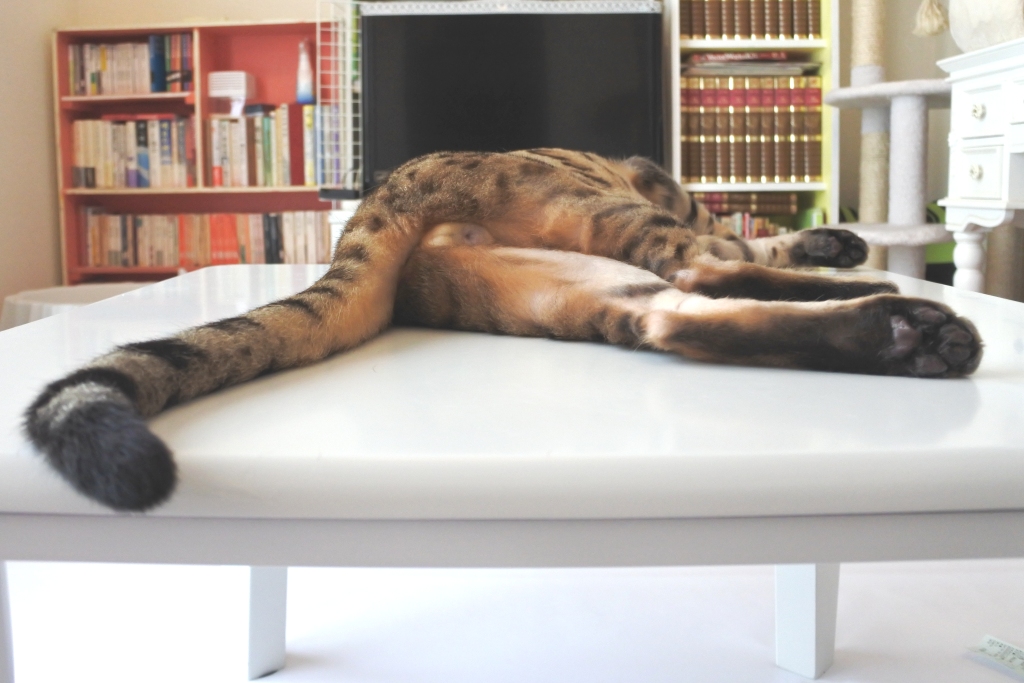 f:id:vegan24:20180713130540j:plain