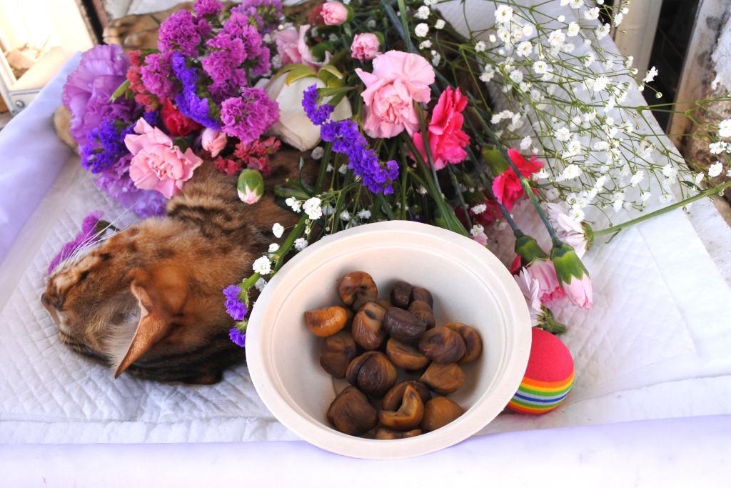 f:id:vegan24:20190404064300j:plain