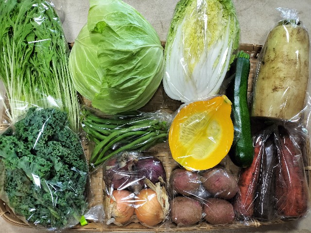 f:id:vegecom:20230613153747j:image f:id:vegecom:20230613153747j:image