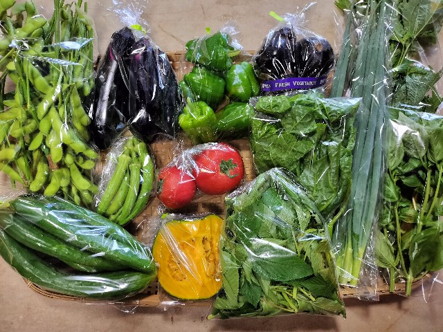 f:id:vegecom:20230711160548j:image f:id:vegecom:20230711160548j:image