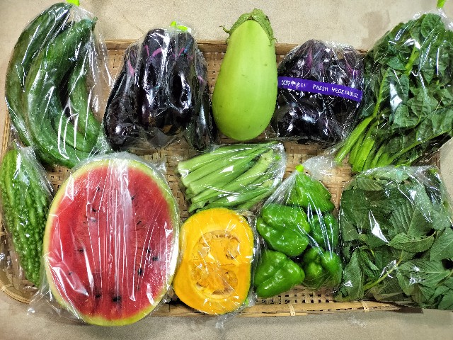 f:id:vegecom:20230804160659j:image f:id:vegecom:20230804160659j:image