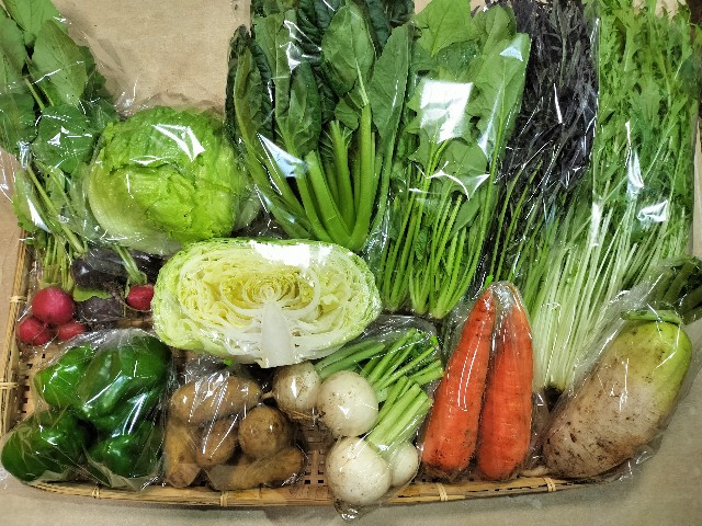f:id:vegecom:20231107174125j:image f:id:vegecom:20231107174125j:image