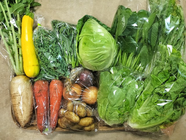 f:id:vegecom:20240607170230j:image f:id:vegecom:20240607170230j:image