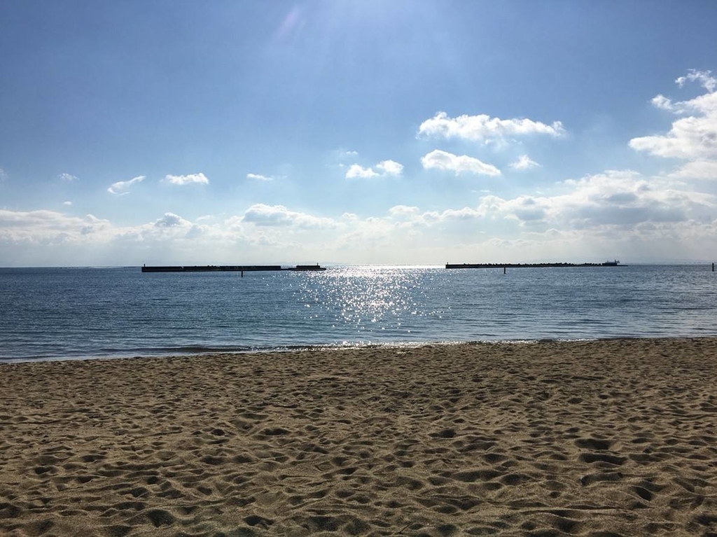f:id:vegejun:20190105200509j:plain