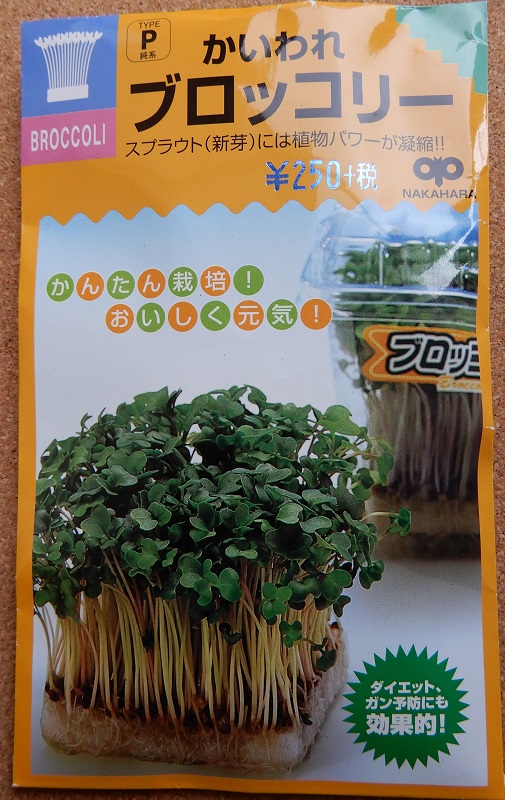 スルフォラファン摂取 ブロッコリースプラウトのジャー栽培 つくって楽しく 食べておいしい家庭菜園 スルフォラファン摂取 ブロッコリースプラウトのジャー栽培 つくって楽しく 食べておいしい家庭菜園