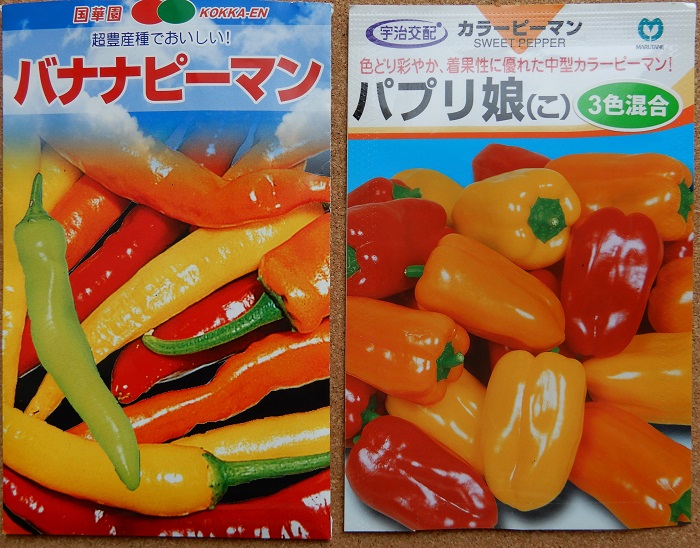 種から 苗から プランターでカラーピーマン つくって楽しく 食べておいしい家庭菜園 種から 苗から プランターでカラーピーマン つくって楽しく 食べておいしい家庭菜園
