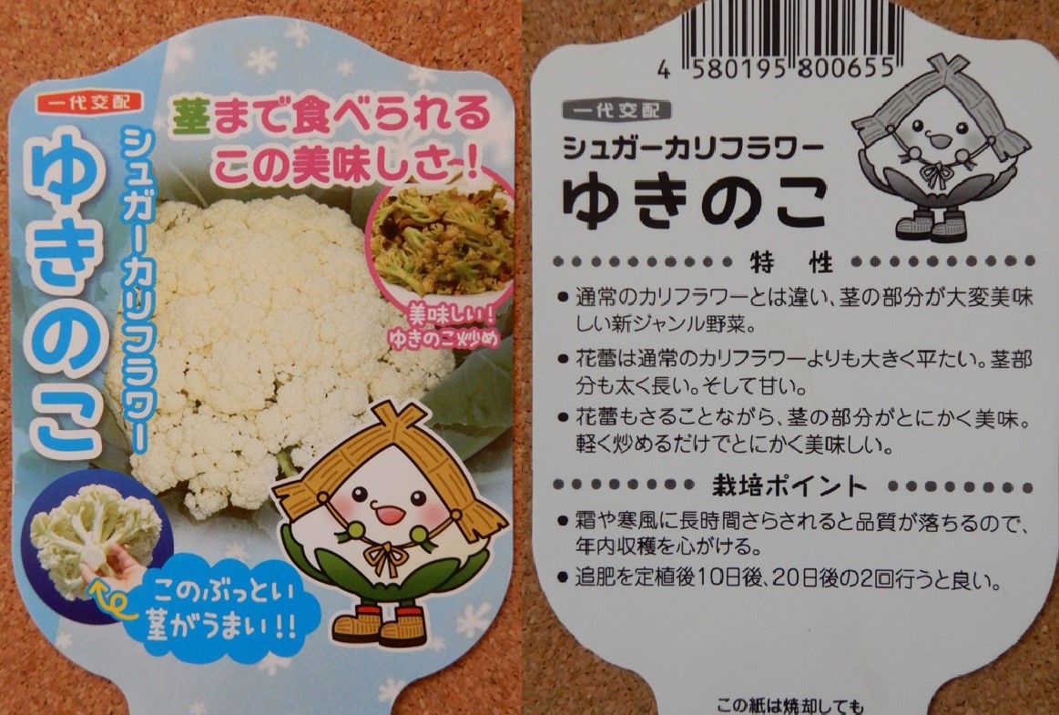 秋冬野菜の定植 ブロッコリーやカリフラワー他 つくって楽しく 食べておいしい家庭菜園