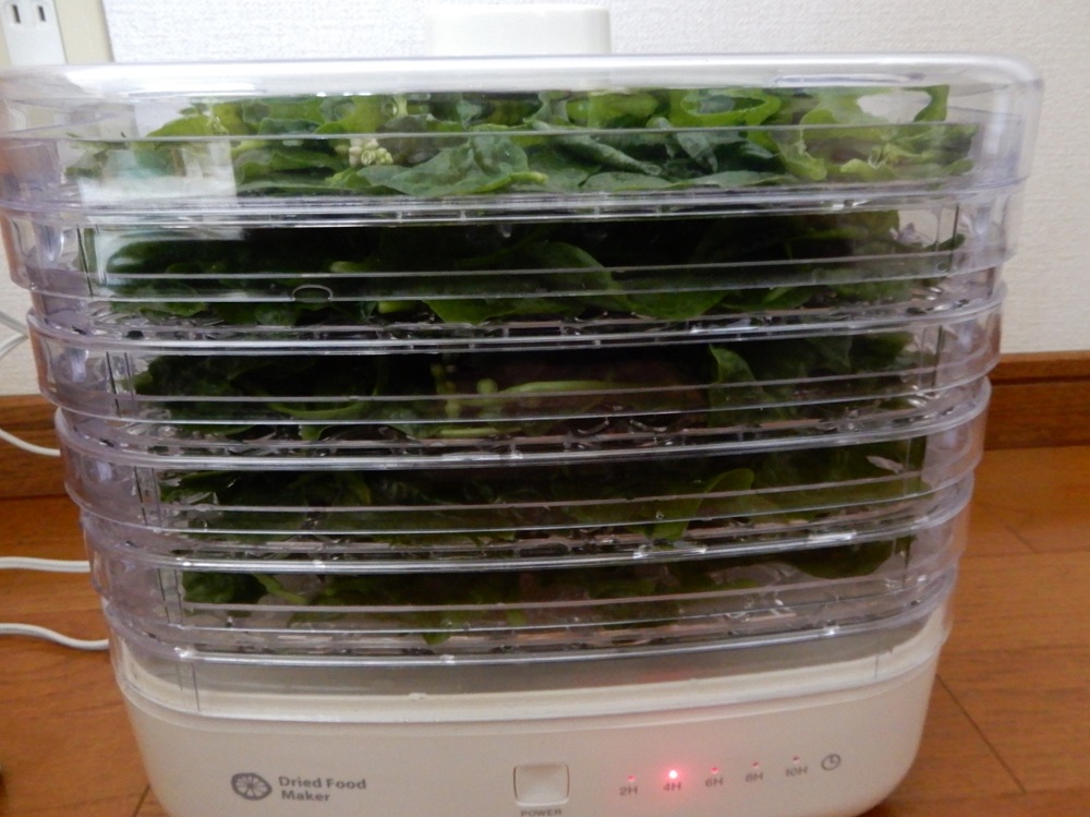 f:id:vegeta-garden:20201002214849j:plain