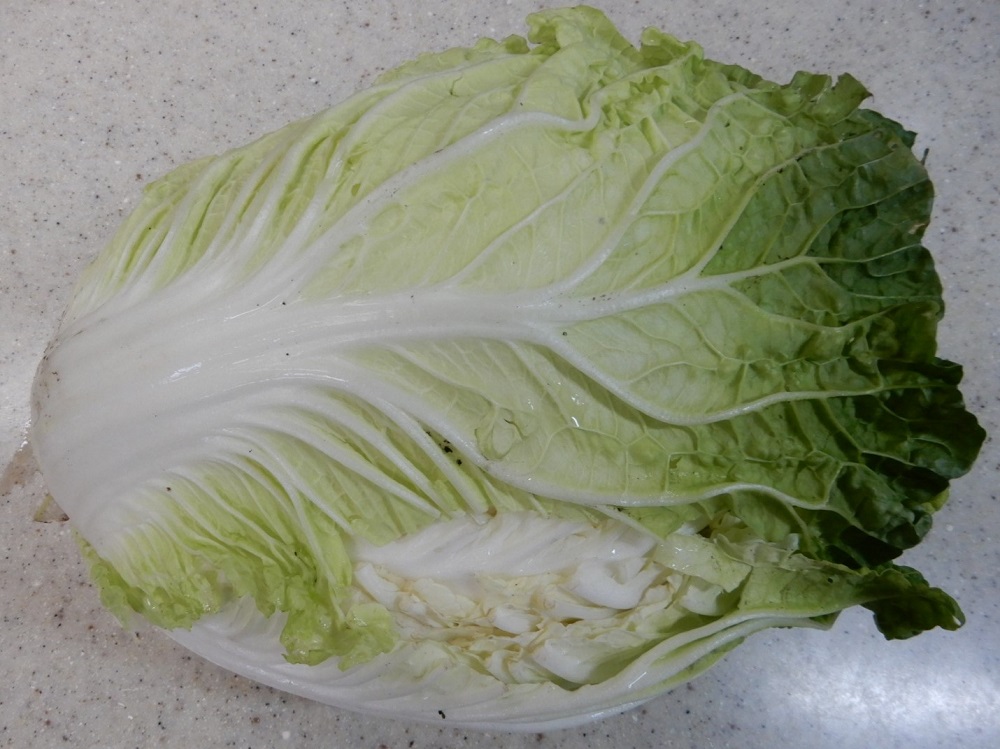 f:id:vegeta-garden:20201207214625j:plain