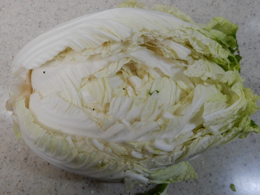 f:id:vegeta-garden:20201207214633j:plain