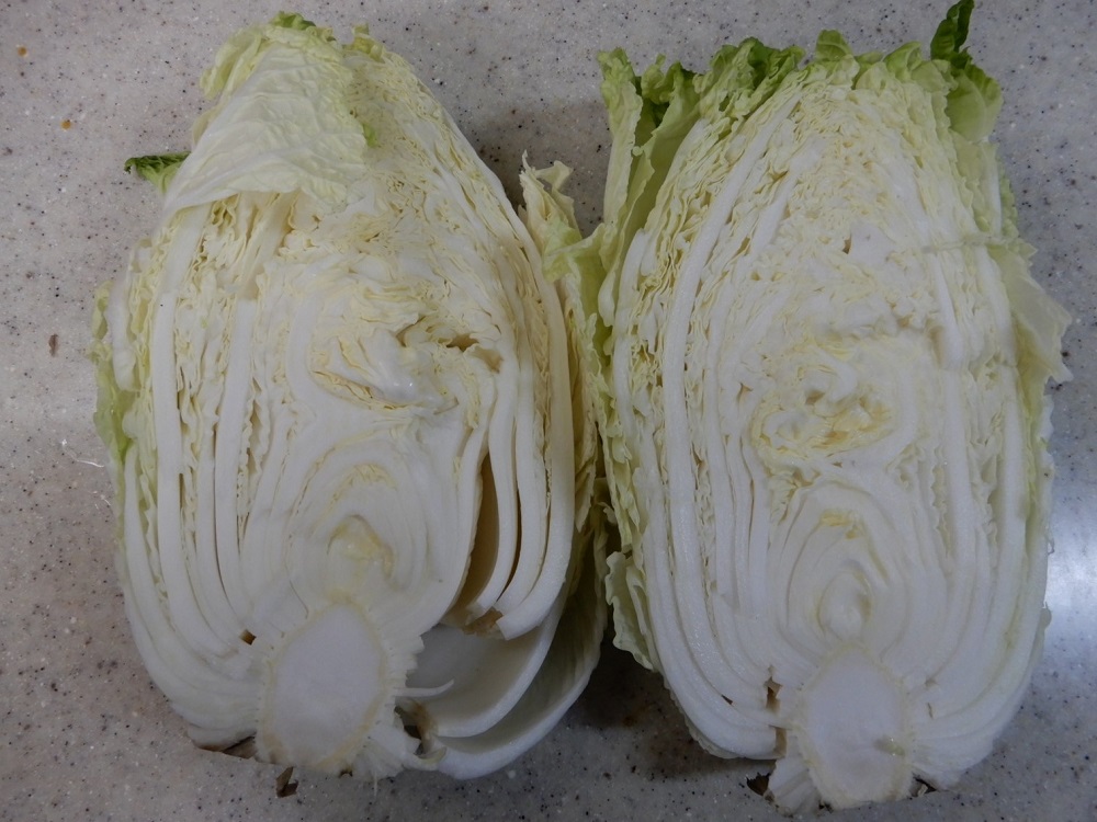 f:id:vegeta-garden:20201207214643j:plain