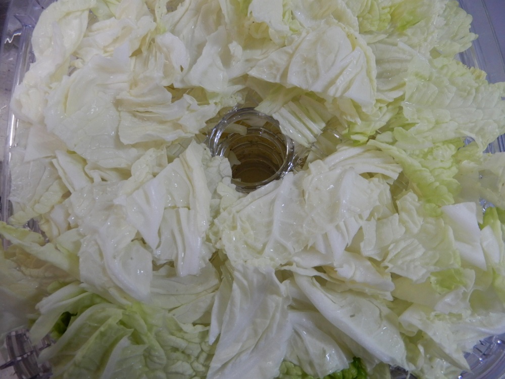 f:id:vegeta-garden:20201207214652j:plain